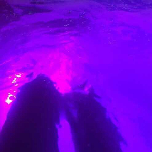 原神佳明的裸体㊙️
