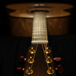 原神佳明的裸体㊙️
